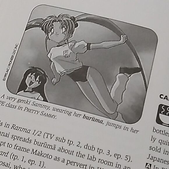 The Anime Companion vintage paperback Japanese culture guide - Picture 8 of 12